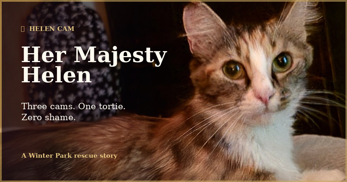 Helen the Cat Live share image